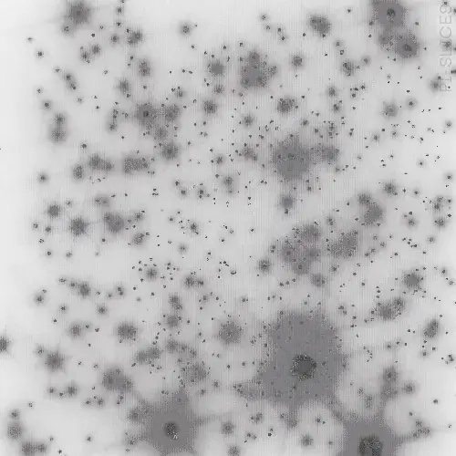 Background GIF